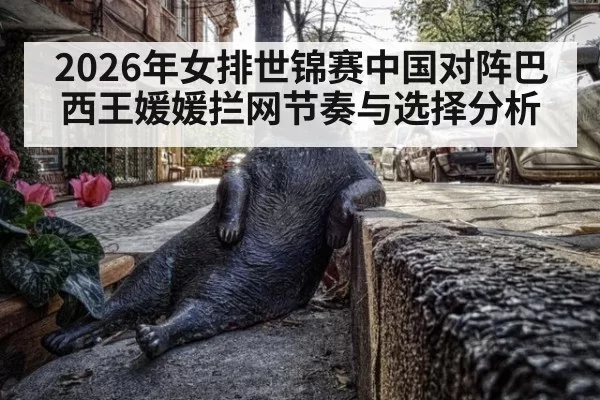 2026年女排世锦赛中国对阵巴西王媛媛拦网节奏与选择分析